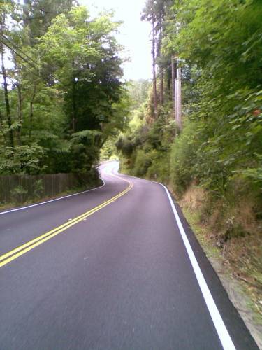  Hwy 116 westbound on the Cloverdale-SF 200k 